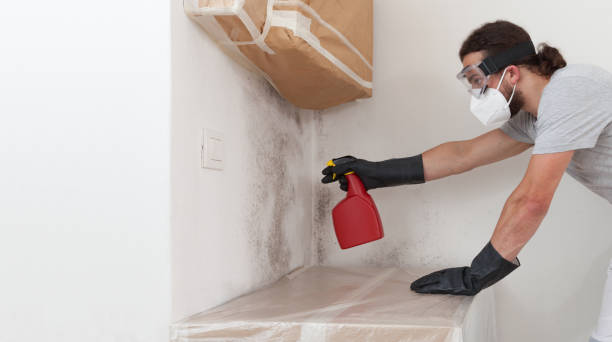 Professional Attic Mold Remediation technician working in Berkeley Heights, NJ