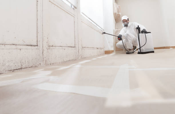 24/7 Emergency Attic Mold Remediation experts in Berkeley Heights, NJ